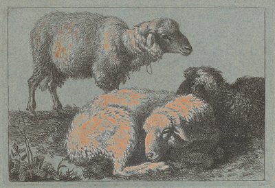 To liggende får og et stående får, 17571758. af Francesco Londonio