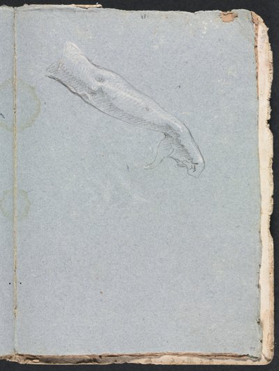 Verona Skitsebog: Højre arm og hånd side 95, 1760. af Francesco Lorenzi