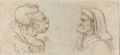 To groteske hoveder af Francesco Melzi after Leonardo da Vinci