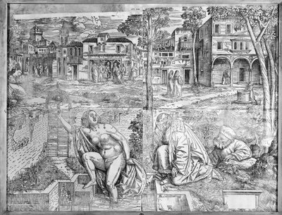 forvandlinger. af Francesco Pozzi