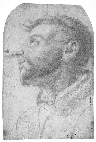 Hovedet af en mand, der ser opad af Francesco Solimena