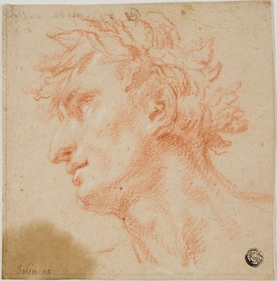 Profil af mandshoved, kronet med laurbærblade af Francesco Solimena
