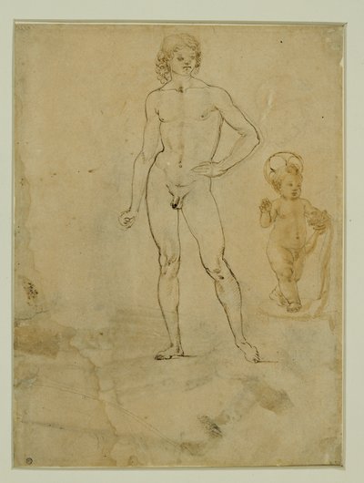 En nøgen ung mand, stående; Jesusbarnet; kvindeportræt vendt mod højre ... af Francesco di Simone (attr. to)