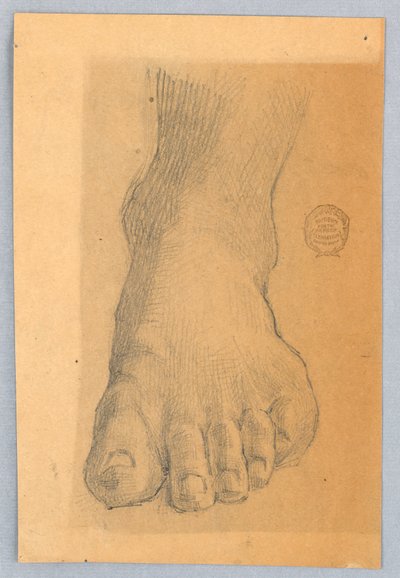 Studie af venstre fod af Francis Augustus Lathrop