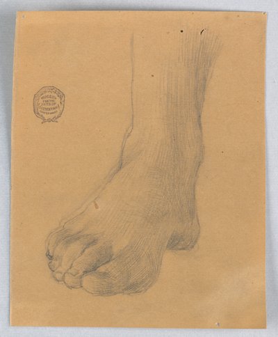Studie af højre fod af Francis Augustus Lathrop