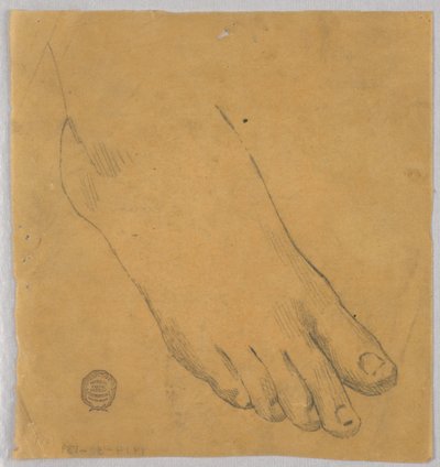 Studie af en højre fod af Francis Augustus Lathrop