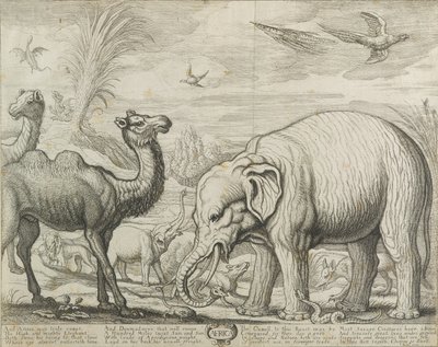 Afrika, 1672 af Francis Barlow