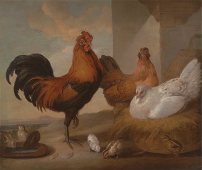 Tamhane, høns og kyllinger af Francis Barlow
