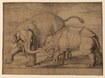 Kamp mellem en elefant og næsehorn af Francis Barlow