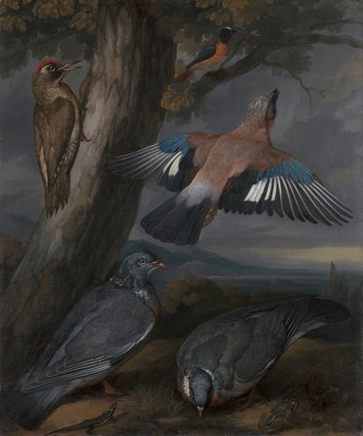 Jay, Green Woodpecker, duer og Redstart af Francis Barlow