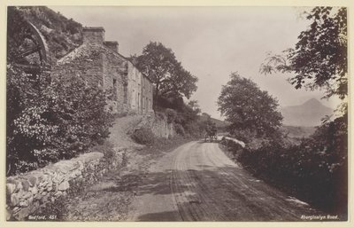 Aberglaslyn Road af Francis Bedford