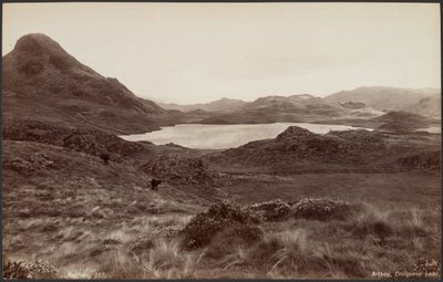 Arthog, Creigene-søen af Francis Bedford
