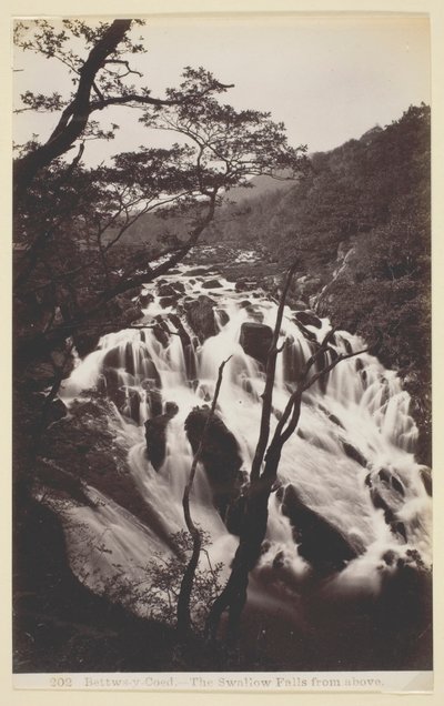 Bettw-s-y Coed, Svalen falder fra oven af Francis Bedford