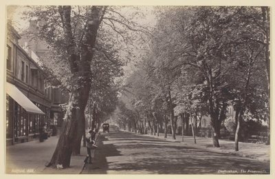 Cheltenham, Promenade af Francis Bedford