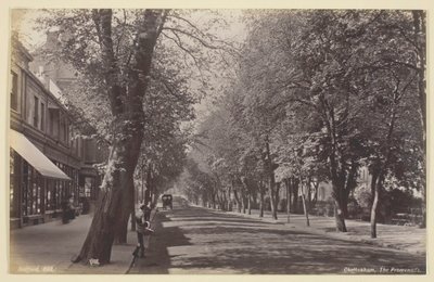 Cheltenham, Promenade, 186094. af Francis Bedford