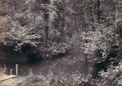 Colwyn Bay. Poolen i skoven, 1870