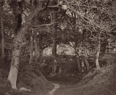 Glen Kenilworth, ca. 1868 (foto) af Francis Bedford