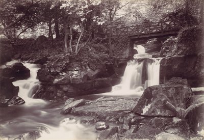 Glen Lun. Den rustikke bro, 1870