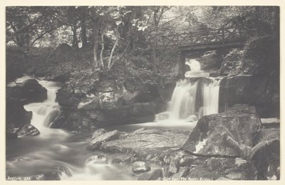 Glen Lyn, den rustikke bro, 186094. af Francis Bedford