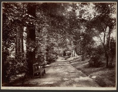 Leamington, i Jephson Gardens af Francis Bedford