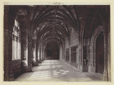 Uden titel af Francis Bedford