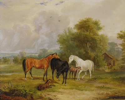 Heste, der græsser: Hopper og føl på en mark af Francis Calcraft Turner