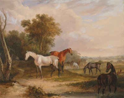 Græssende heste: en grå hingst græsser med hopper på en eng af Francis Calcraft Turner