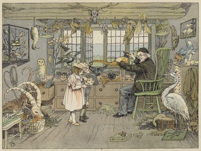 Bird-Stuffer (farvelitografi) af Francis Donkin Bedford