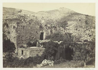 Banias, det gamle Caesaria, Phillippi af Francis Frith