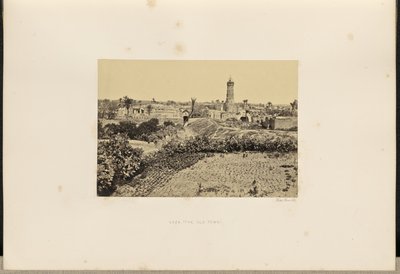 Gaza (den gamle bydel) af Francis Frith