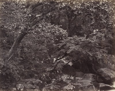 Glen i Lynmouth, 1860