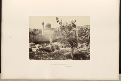 Bethesda-dammen osv., Jerusalem af Francis Frith