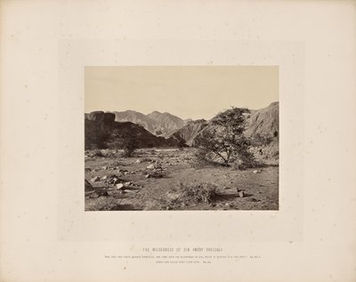 Syndens vildmark (Wady Shellal) af Francis Frith