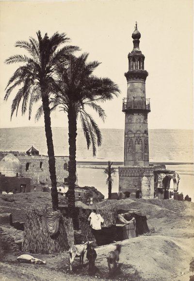 Udsigt ved Girgeh, 1857. af Francis Frith