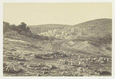 Udsigt ved Hebron af Francis Frith