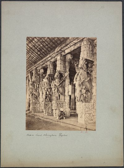 Trichinopoly Hestebane, 1850