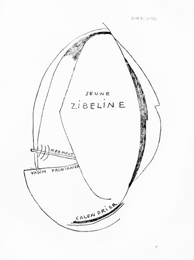 Poemes et Dessins de la Fille nee sans Mere, nr. 15, udgivet af Imprimeries Reunies, Lausanne af Francis Picabia