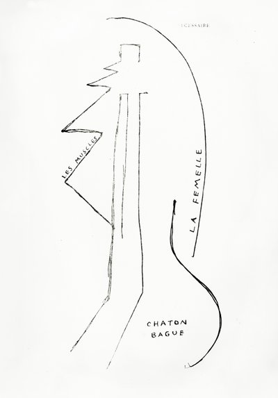 Poemes et Dessins de la Fille nee sans Mere, nr. 23, udgivet af Imprimeries Reunies, Lausanne af Francis Picabia