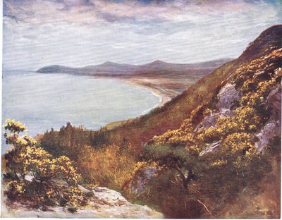 Dublin Bay fra Victoria Hill, fra Peeps at Many Lands: Ireland udgivet af Adams & Charles, 1909 af Francis S. Walker