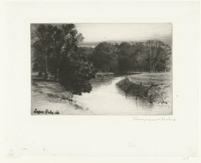 Solnedgang i Irland En solnedgang i Irland af Francis Seymour Haden (Sir) (signed by artist)