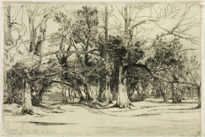 En ad-vej i Tipperary af Francis Seymour Haden