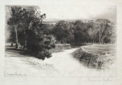 En solnedgang i Irland, 1863. af Francis Seymour Haden