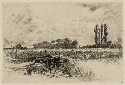 En Vandeng af Francis Seymour Haden