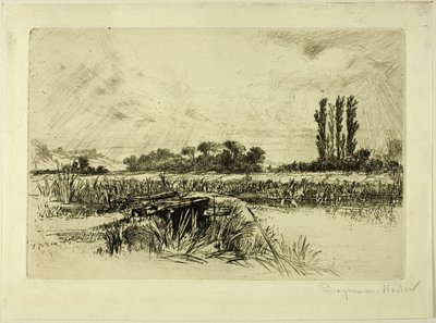 En Vandeng af Francis Seymour Haden