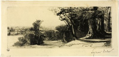Tidlig morgen, Richmond Park af Francis Seymour Haden