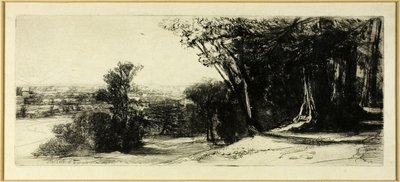 Tidlig morgen, Richmond Park af Francis Seymour Haden