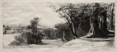 Tidlig morgen, Richmond Park. af Francis Seymour Haden