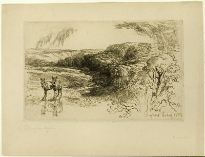 Encombe Woods, nr. II af Francis Seymour Haden