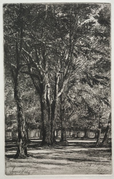 Kensington Gardens (Den Store Plade) af Francis Seymour Haden