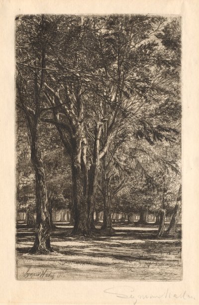 Kensington Gardens, nr. 2 (stor plade) af Francis Seymour Haden